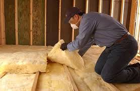 Best Basement Insulation  in Celebration, FL