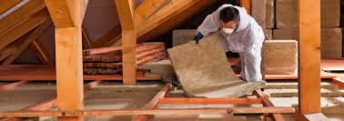 Best Attic Insulation Installation  in Celebration, FL