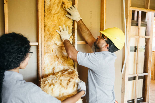 Types of Insulation We Offer in Celebration, FL